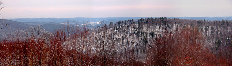 [Several photos stitched together showing multiple snow-clads hills on which sits mostly barren trees but there are some evergreens giving blotches of color. In the foreground the reddish-brown branches of trees are specked with globs of white.]